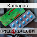 Kamagara new03